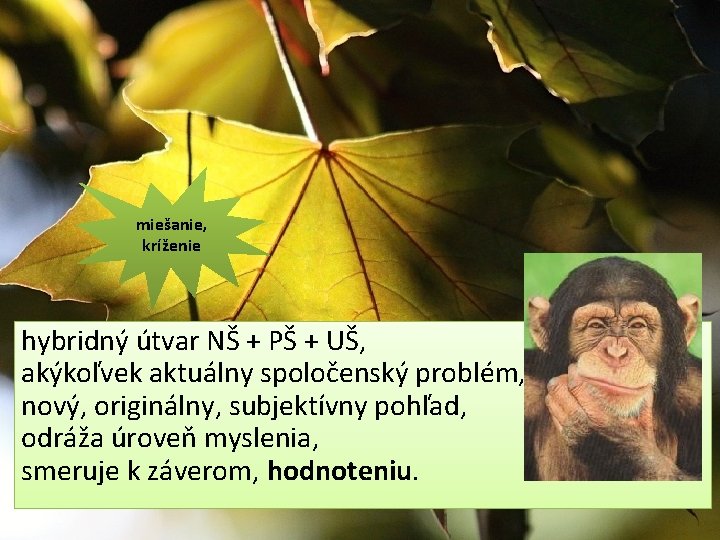 miešanie, kríženie hybridný útvar NŠ + PŠ + UŠ, akýkoľvek aktuálny spoločenský problém, nový,