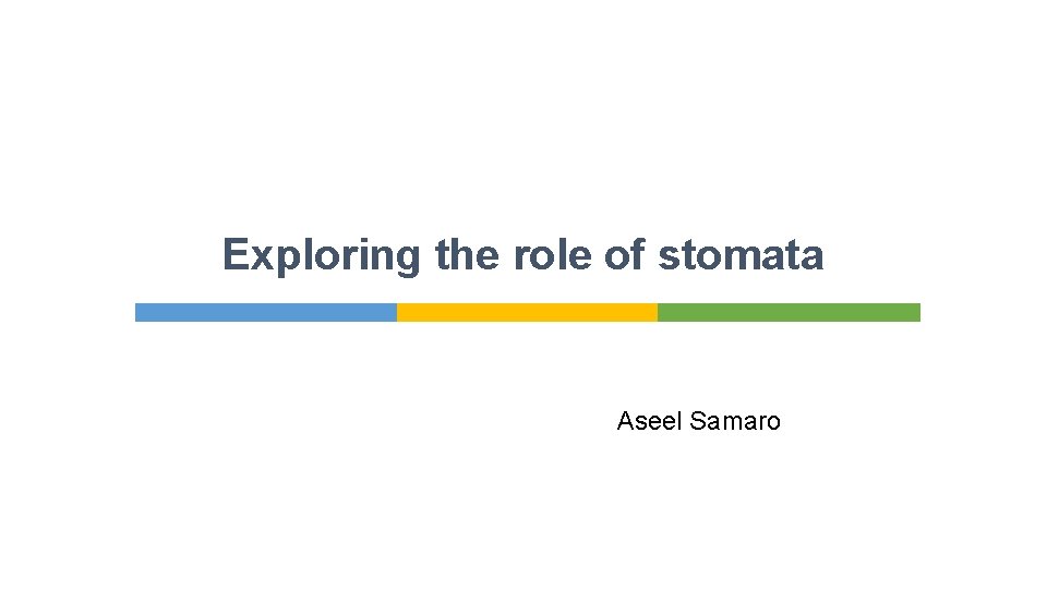 Exploring the role of stomata Aseel Samaro 