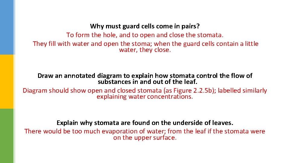 Why must guard cells come in pairs? To form the hole, and to open