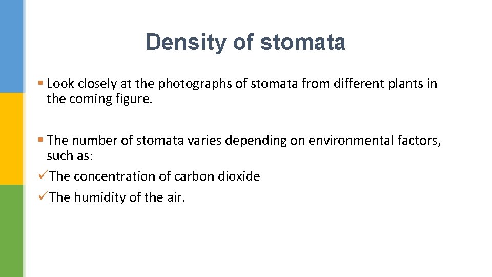 Density of stomata § Look closely at the photographs of stomata from different plants