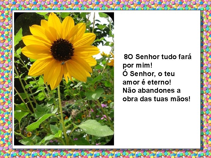 8 O Senhor tudo fará por mim! Ó Senhor, o teu amor é eterno!