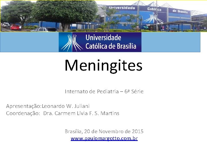 Meningites Internato de Pediatria – 6ª Série Apresentação: Leonardo W. Juliani Coordenação: Dra. Carmem