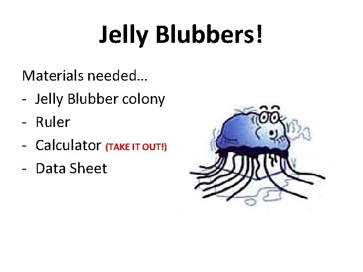 Jelly Blubbers! Materials needed… - Jelly Blubber colony - Ruler - Calculator (TAKE IT