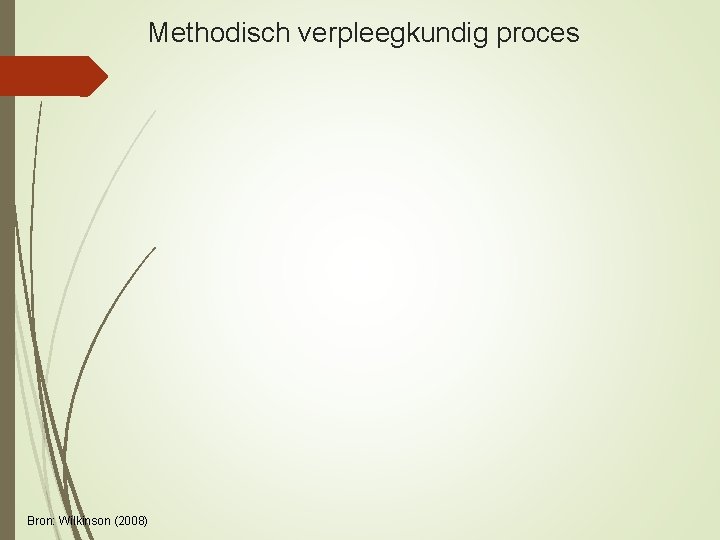 Methodisch verpleegkundig proces Bron: Wilkinson (2008) 