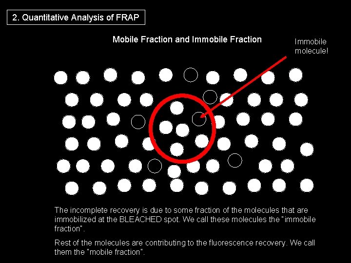 2. Quantitative Analysis of FRAP Mobile Fraction and Immobile Fraction Immobile molecule! The incomplete