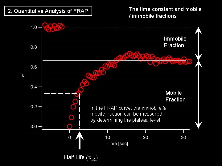 The time constant and mobile / immobile fractions 2. Quantitative Analysis of FRAP Immobile