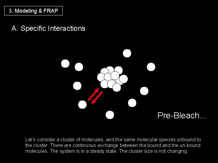 3. Modeling & FRAP A. Specific Interactions Pre-Bleach… Let’s consider a cluster of molecules,