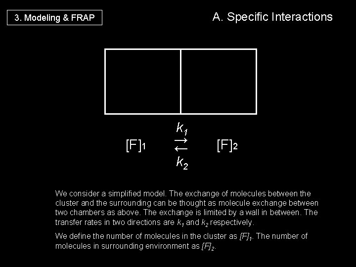 A. Specific Interactions 3. Modeling & FRAP [F]1 k 1 → ← k 2