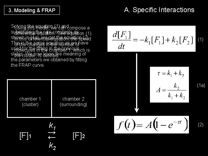 A. Specific Interactions 3. Modeling & FRAP Solving the equation (1)can andcompose a Using