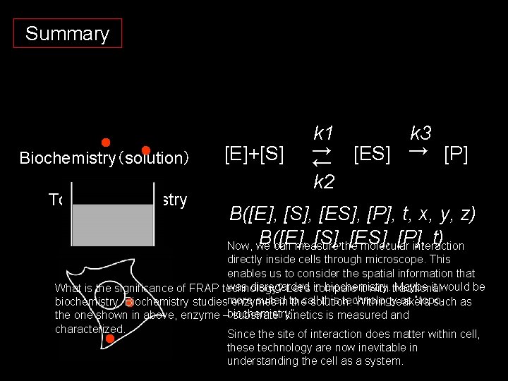 Summary Biochemistry（solution）　 Topo-biochemistry (in vivo)　 [E]+[S] k 1 k 3 → [ES] → [P]