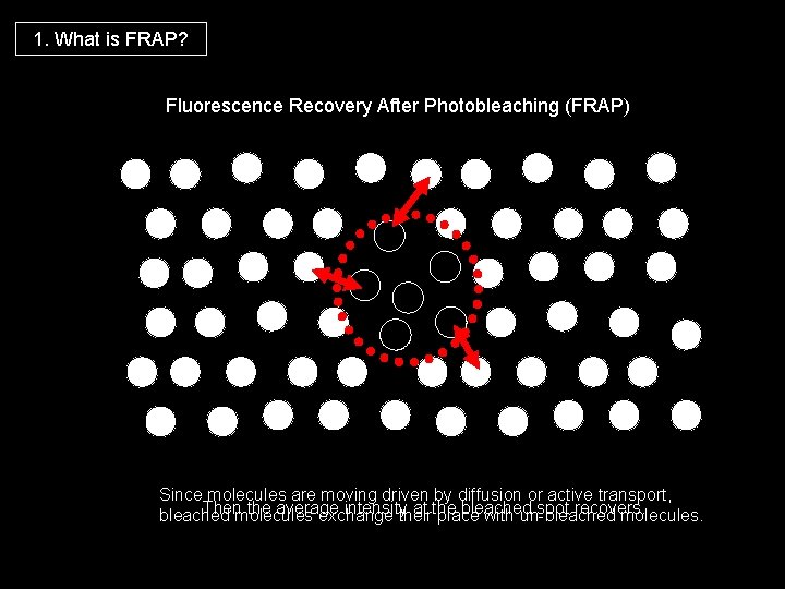 1. What is FRAP? Fluorescence Recovery After Photobleaching (FRAP) Since molecules are moving driven