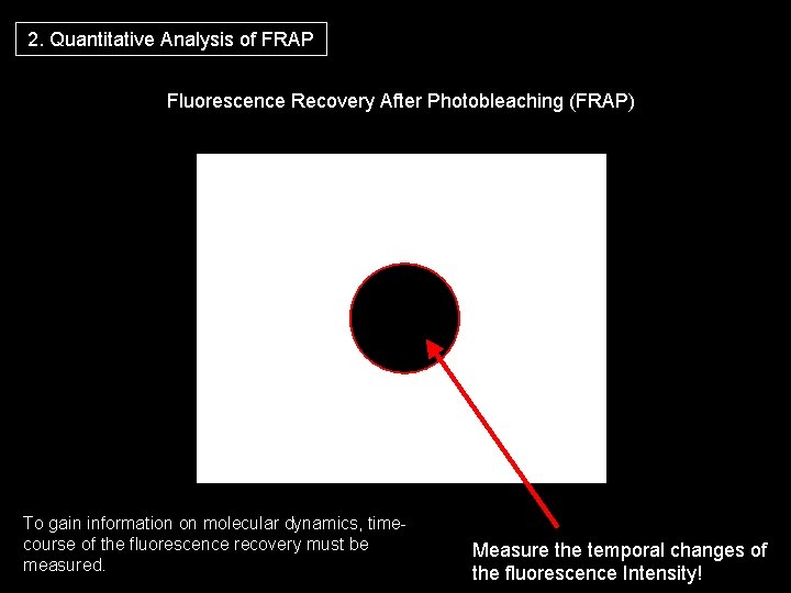 2. Quantitative Analysis of FRAP Fluorescence Recovery After Photobleaching (FRAP) To gain information on