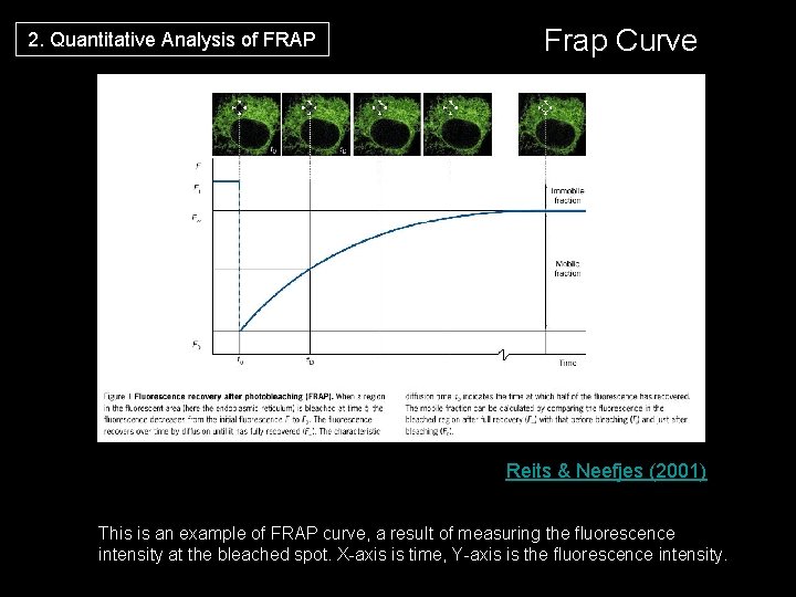 2. Quantitative Analysis of FRAP Frap Curve Reits & Neefjes (2001) This is an