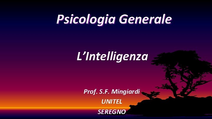 Psicologia Generale L’Intelligenza Prof. S. F. Mingiardi UNITEL SEREGNO 