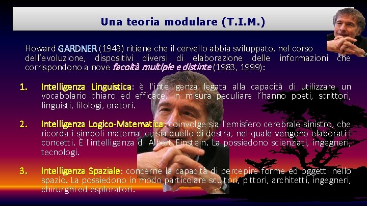 Una teoria modulare (T. I. M. ) Howard GARDNER (1943) ritiene che il cervello