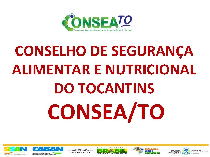 CONSELHO DE SEGURANÇA ALIMENTAR E NUTRICIONAL DO TOCANTINS CONSEA/TO 