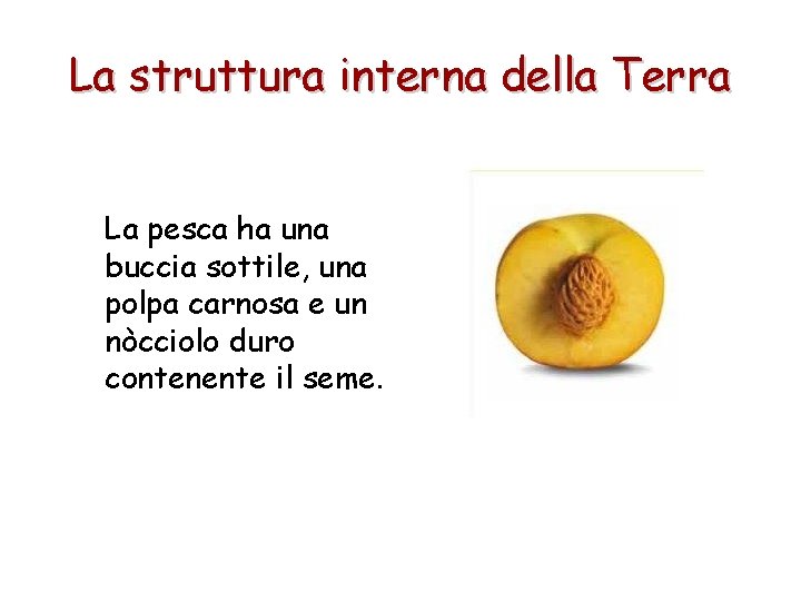 La struttura interna della Terra La pesca ha una buccia sottile, una polpa carnosa