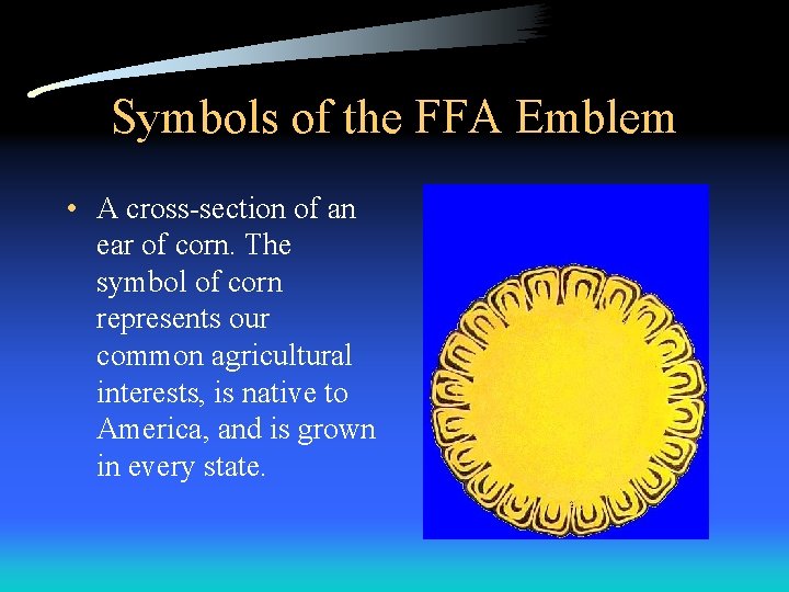 Symbols of the FFA Emblem • A cross-section of an ear of corn. The Symbols of the FFA Emblem • A cross-section of an ear of corn. The
