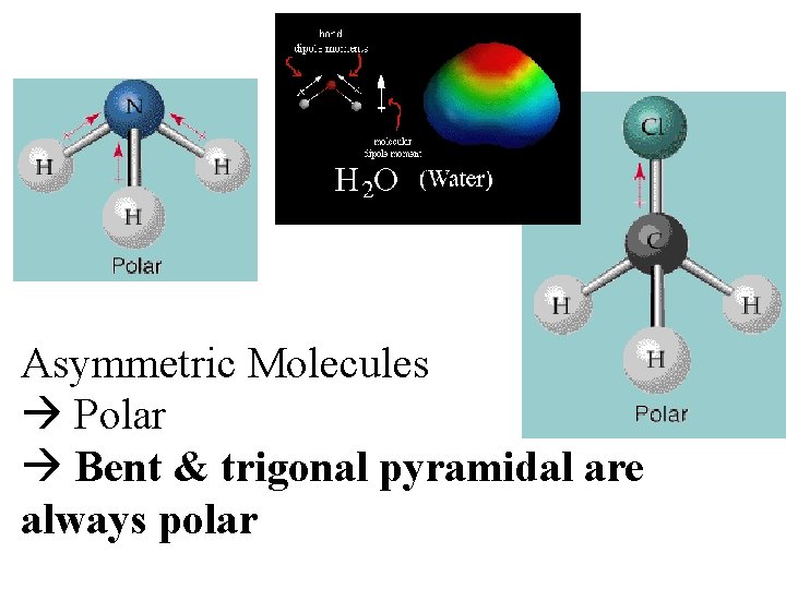 Asymmetric Molecules Polar Bent & trigonal pyramidal are always polar 