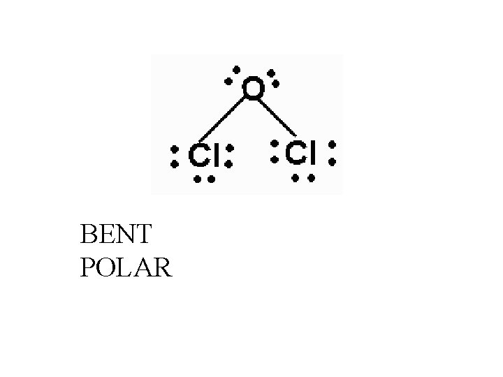 BENT POLAR 