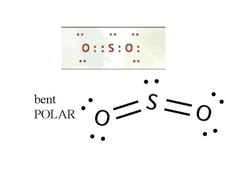 bent POLAR 