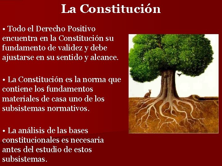 La Constitución • Todo el Derecho Positivo encuentra en la Constitución su fundamento de