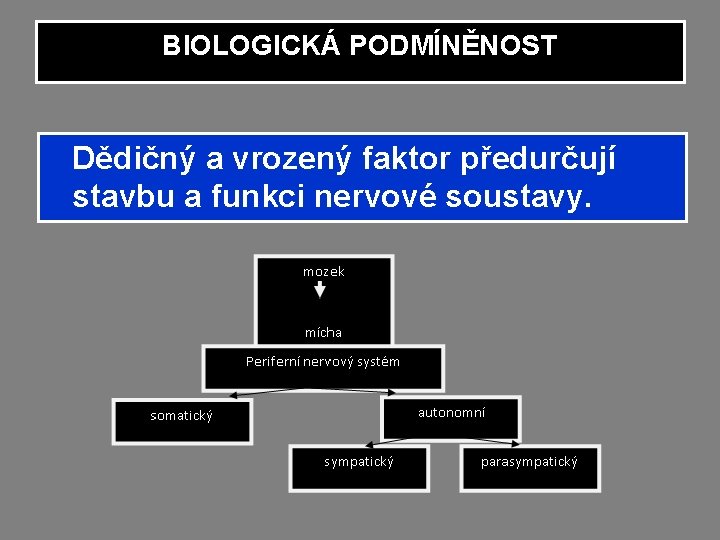BIOLOGICKÁ PODMÍNĚNOST Dědičný a vrozený faktor předurčují stavbu a funkci nervové soustavy. BIOLOGICKÁ PODMÍNĚNOST Dědičný a vrozený faktor předurčují stavbu a funkci nervové soustavy.