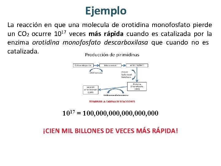 Ejemplo La reacción en que una molecula de orotidina monofosfato pierde un CO 2