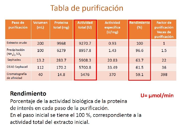 U= µmol/min 