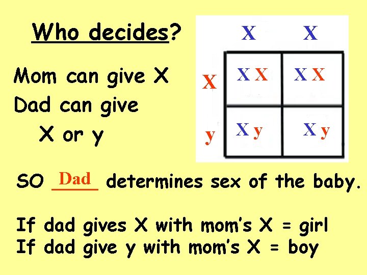 Who decides? Mom can give X Dad can give X or y X XX