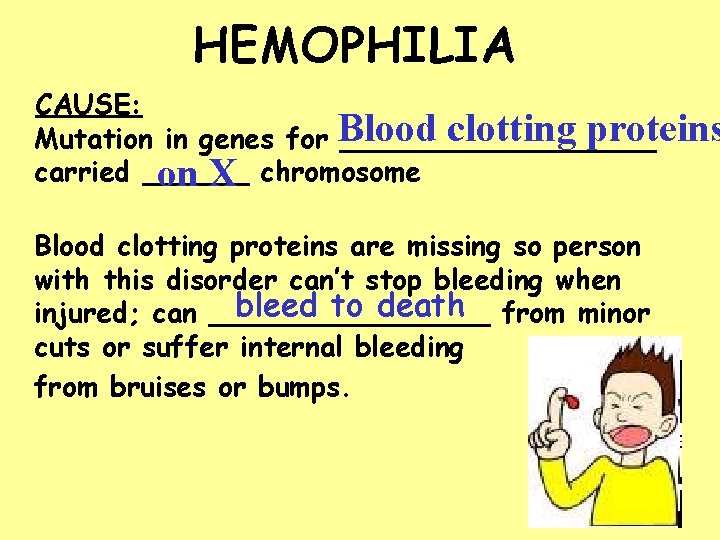 HEMOPHILIA CAUSE: clotting proteins Mutation in genes for Blood _________ carried ______ on X