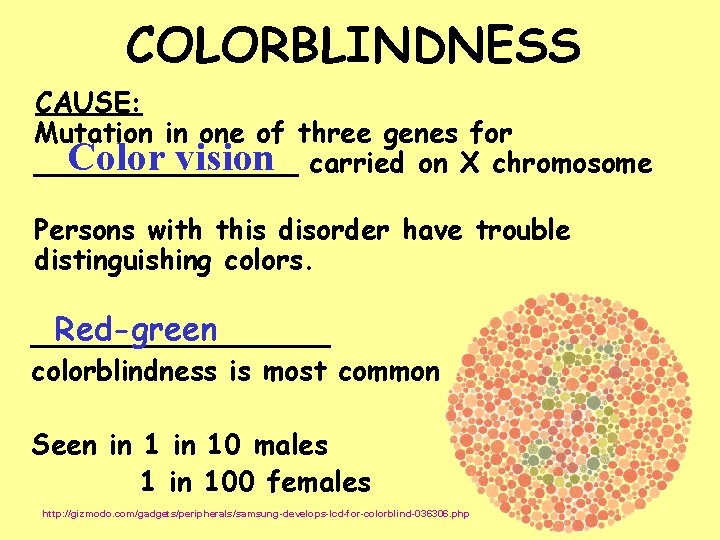 COLORBLINDNESS CAUSE: Mutation in one of three genes for Color vision carried on X