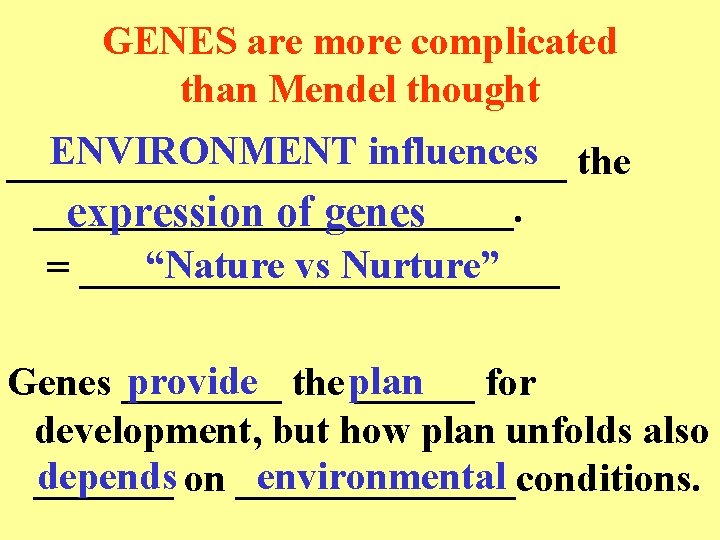 GENES are more complicated than Mendel thought ENVIRONMENT influences the ______________. expression of genes