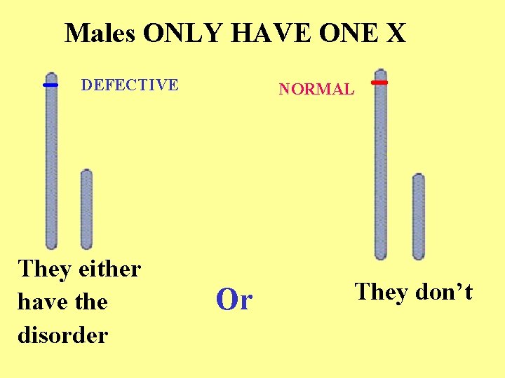 Males ONLY HAVE ONE X DEFECTIVE They either have the disorder NORMAL Or They