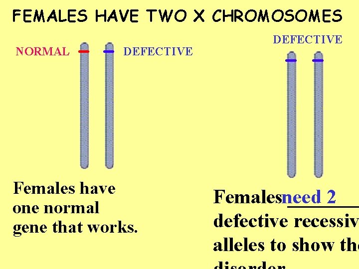 FEMALES HAVE TWO X CHROMOSOMES NORMAL DEFECTIVE Females have one normal gene that works.