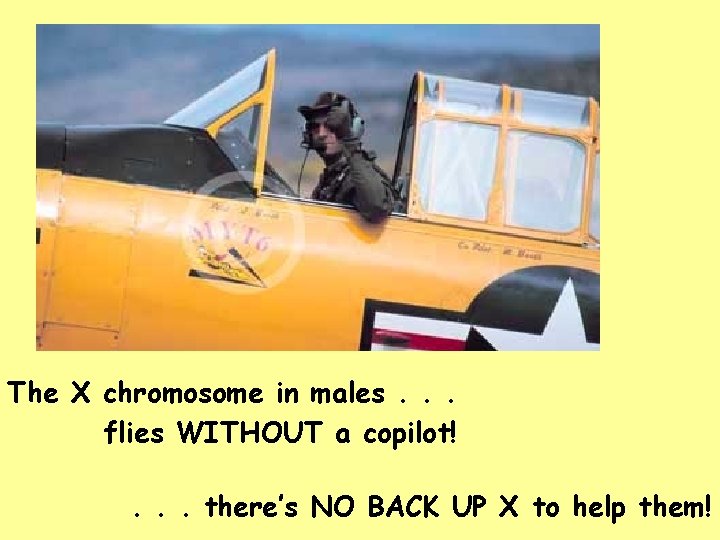 The X chromosome in males. . . flies WITHOUT a copilot!. . . there’s