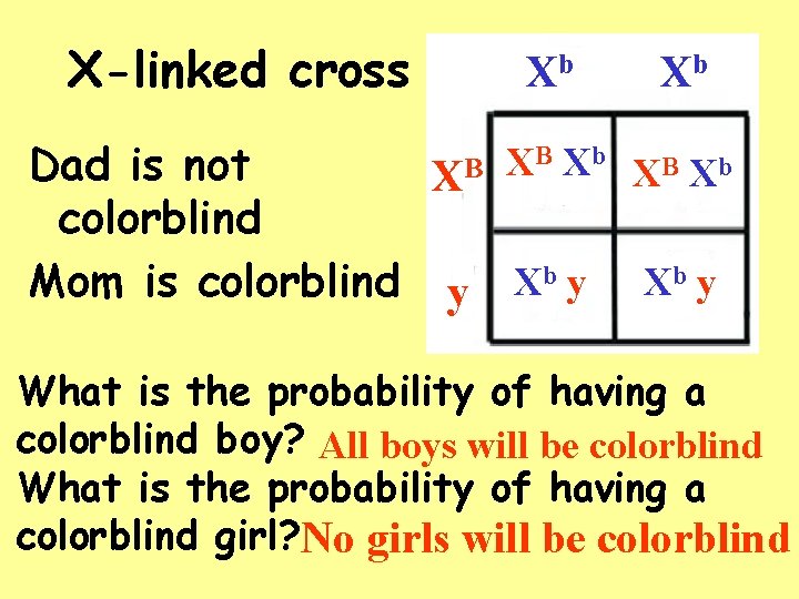 X-linked cross Xb Dad is not XB colorblind Mom is colorblind y Xb XB