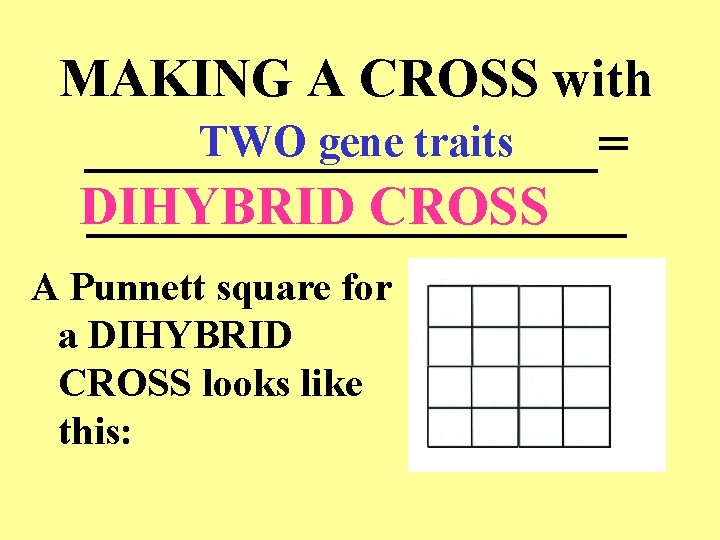 MAKING A CROSS with TWO gene traits __________= DIHYBRID CROSS __________ A Punnett square