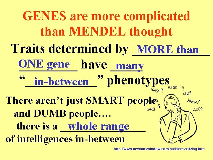 GENES are more complicated than MENDEL thought Traits determined by ______ MORE than ONE