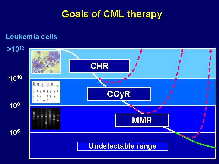 Goals of CML therapy Leukemia cells >1012 CHR 1010 CCy. R 108 MMR 106