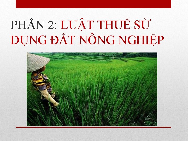 PHẦN 2: LUẬT THUẾ SỬ DỤNG ĐẤT NÔNG NGHIỆP 