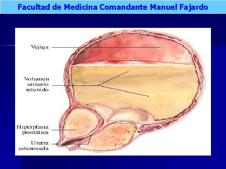 Facultad de Medicina Comandante Manuel Fajardo 