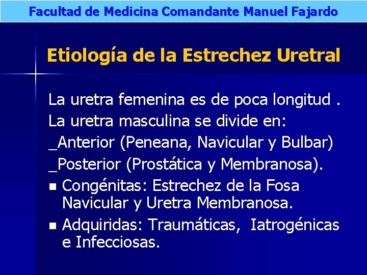 Facultad de Medicina Comandante Manuel Fajardo Etiología de la Estrechez Uretral La uretra femenina