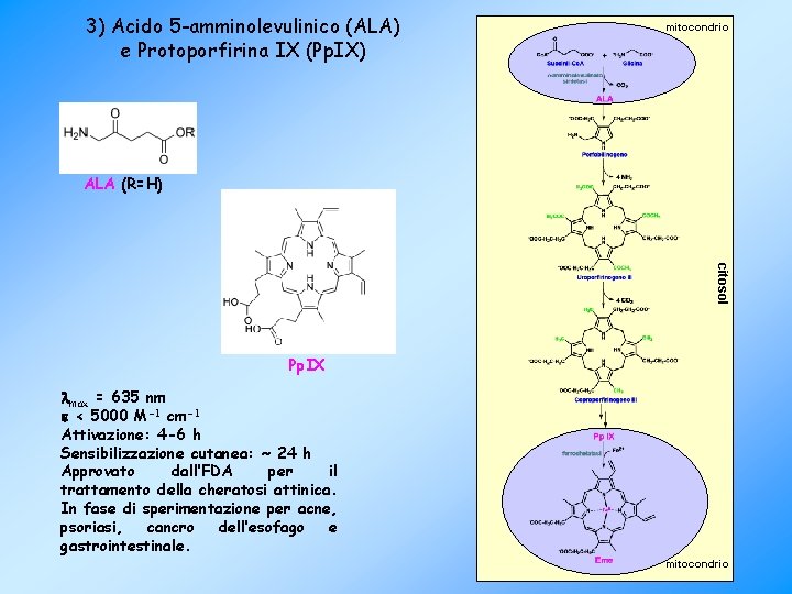 3) Acido 5 -amminolevulinico (ALA) e Protoporfirina IX (Pp. IX) mitocondrio ALA (R=H) citosol