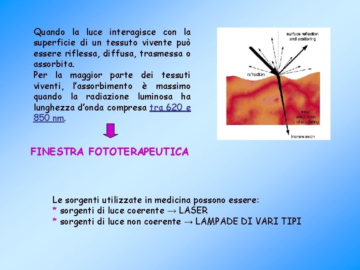 Quando la luce interagisce con la superficie di un tessuto vivente può essere riflessa,