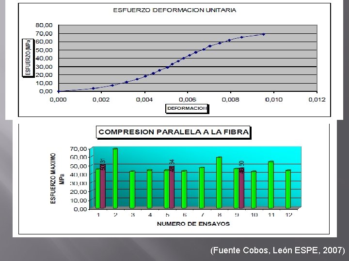 (Fuente Cobos, León ESPE, 2007) 