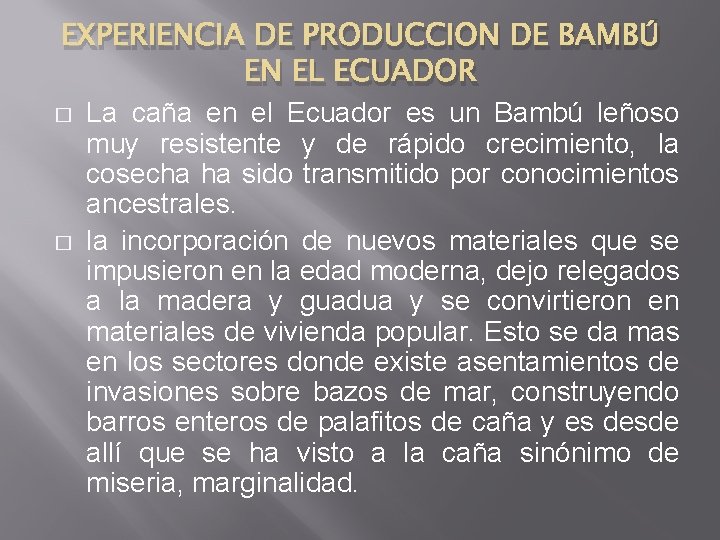 EXPERIENCIA DE PRODUCCION DE BAMBÚ EN EL ECUADOR � � La caña en el