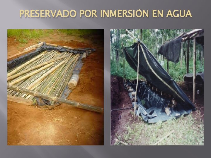 PRESERVADO POR INMERSIÓN EN AGUA 