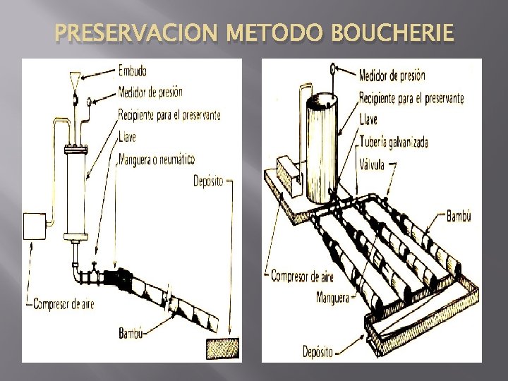 PRESERVACION METODO BOUCHERIE 