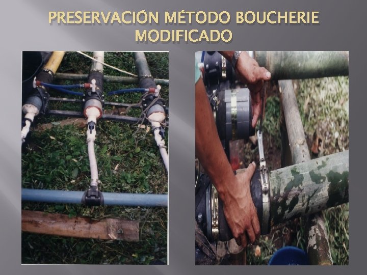 PRESERVACIÓN MÉTODO BOUCHERIE MODIFICADO 